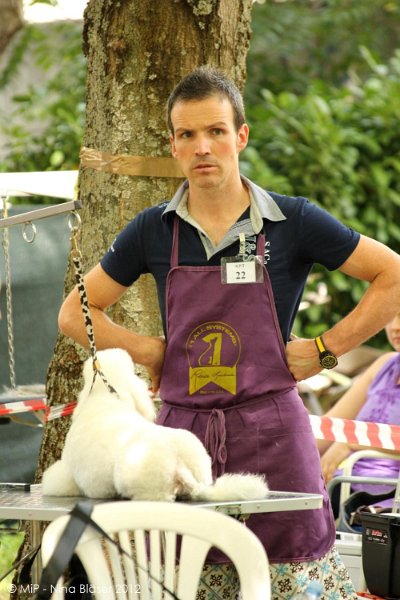 2012-07-01 B & B - Bedlington & Bichon Fun Day (58)_1000x1500.jpg